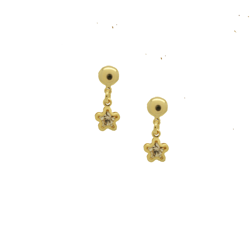 36245 - Earring