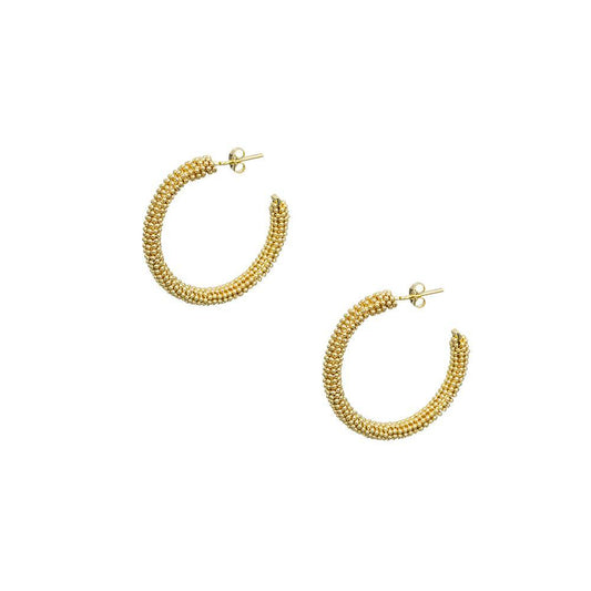 12040R 18K Gold Layered  Earring