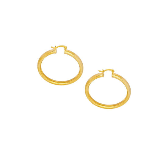 36104 18K Gold Layered Earring