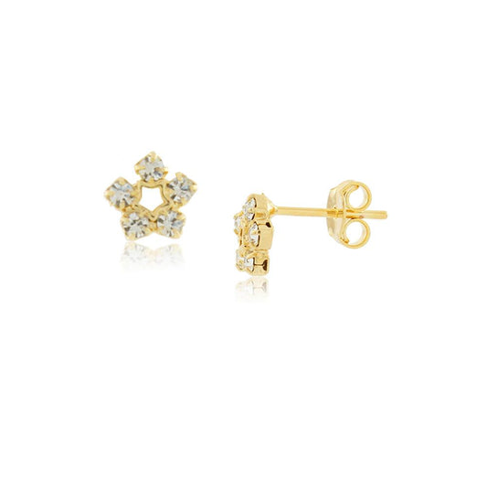 36154 - Earring